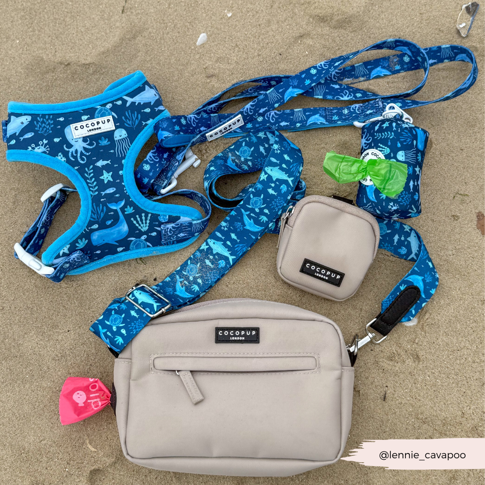 Sea Life Pawty Adjustable Neck Harness, Lead & Collar Bundle