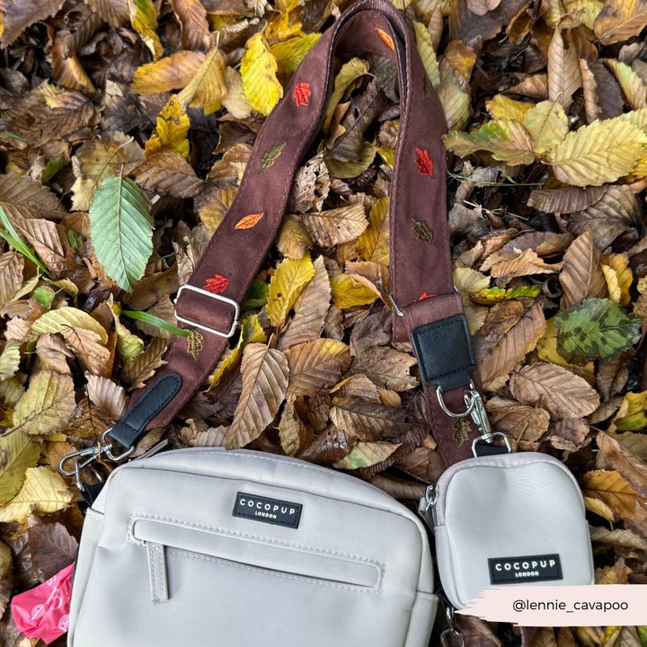 Dog Walking Caramel Latte Bag Bundle - Pawtumn leaves