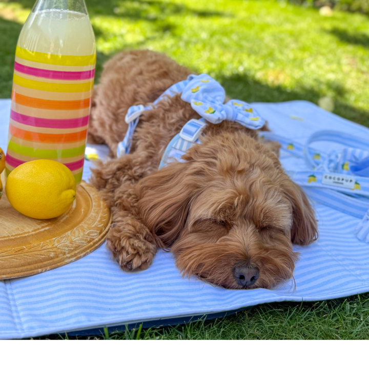 Travel Mat - Living La Vida Lemon