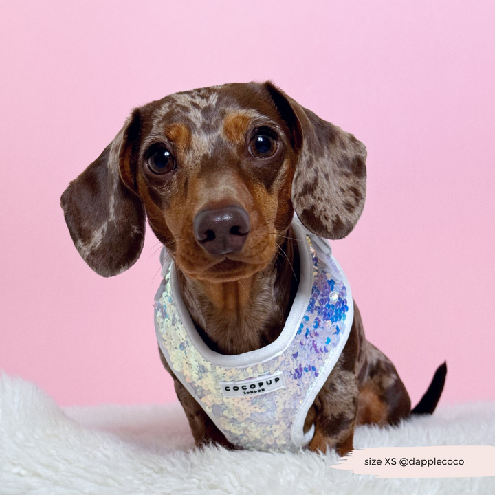 Limited Edition LUXE Party Holographic Sequin Harness