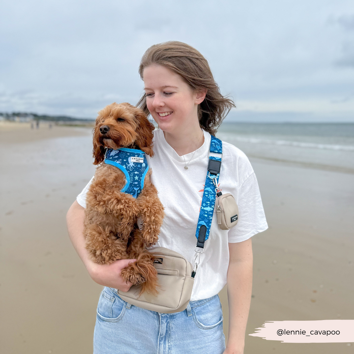 Sea Life Pawty Adjustable Neck HARNESS