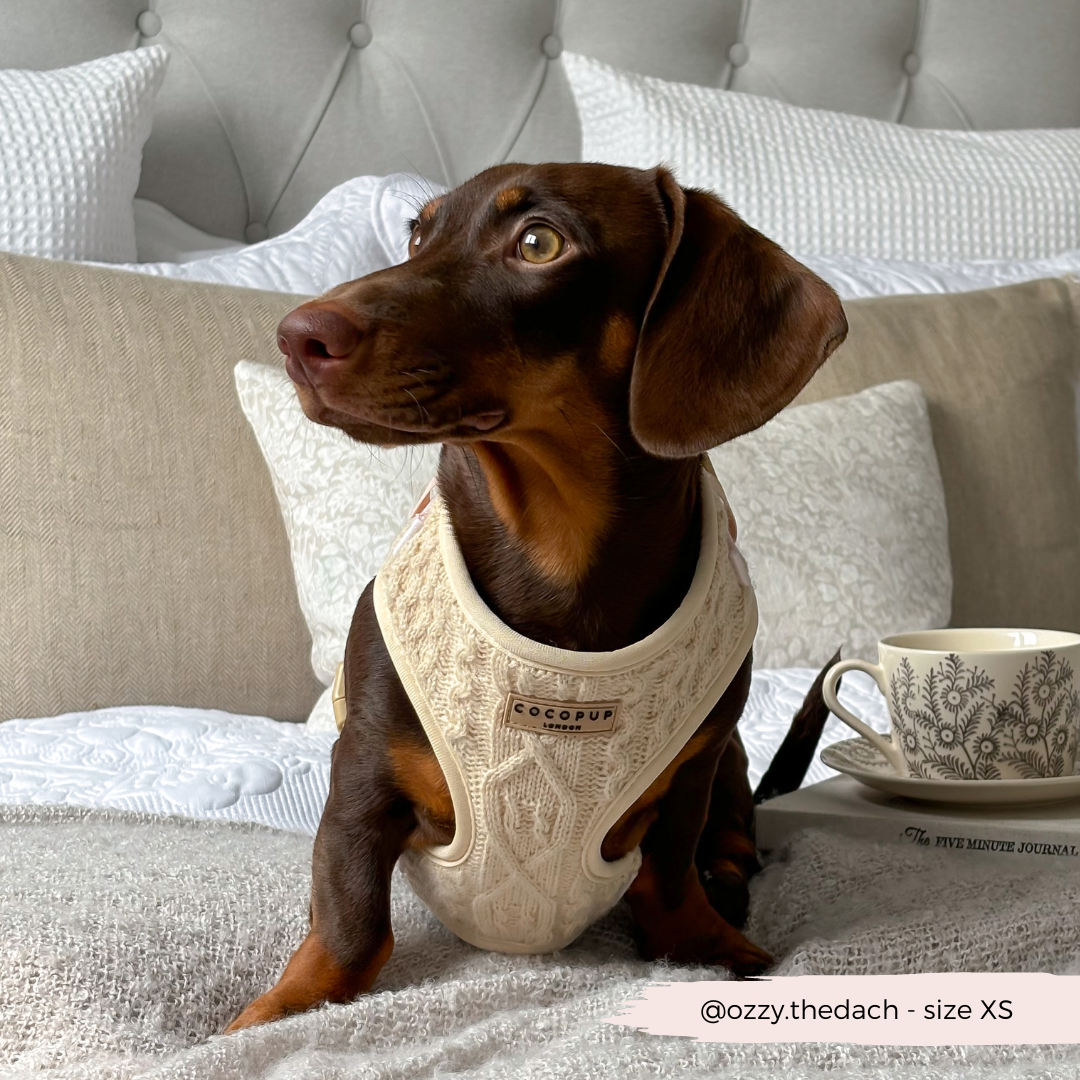 Cable Knit Jumper Adjustable Neck Harness - Vanilla Puppucino