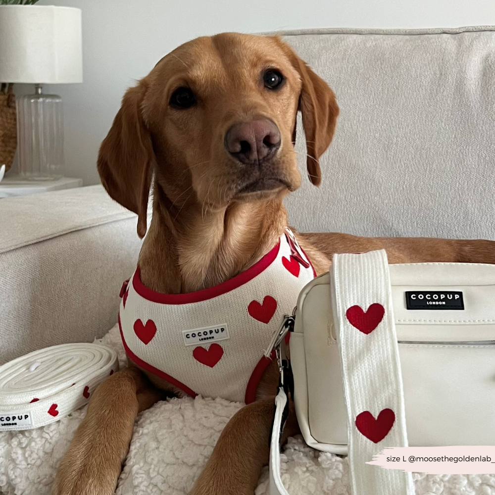 Dog Walking Bag Bundle - Hugs & Knitted