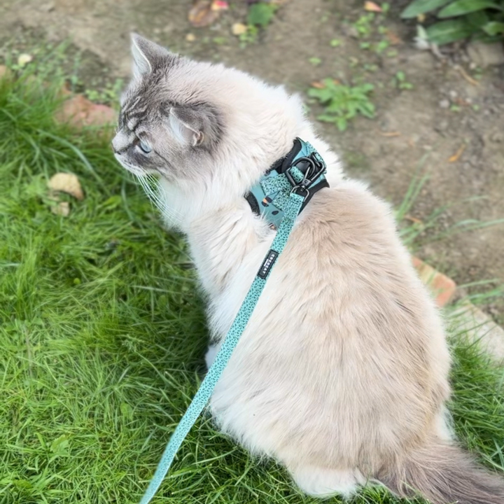 Cat Harness - Khaki Leopard