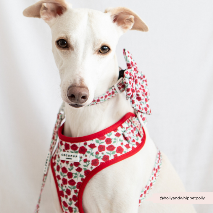 Barkquet of Roses Adjustable Neck Harness