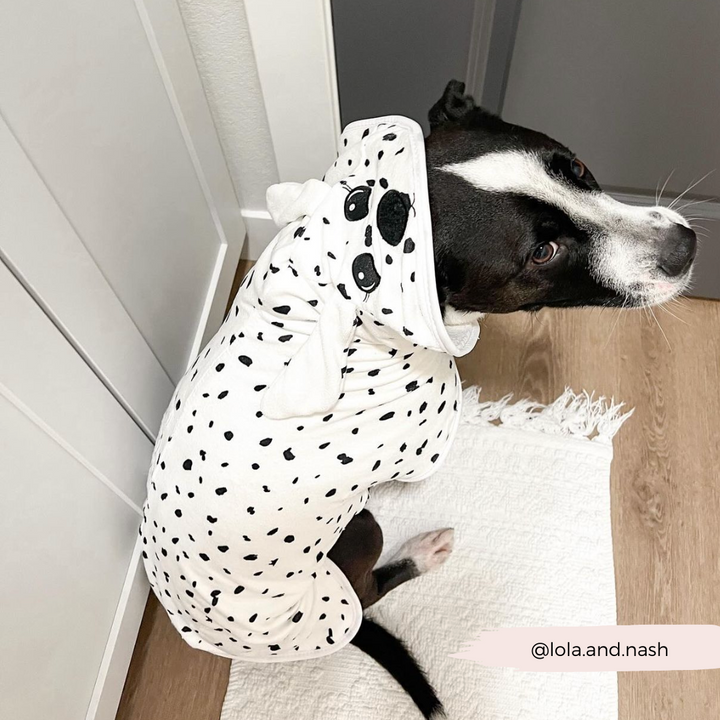 Dalmatian Drying Robe