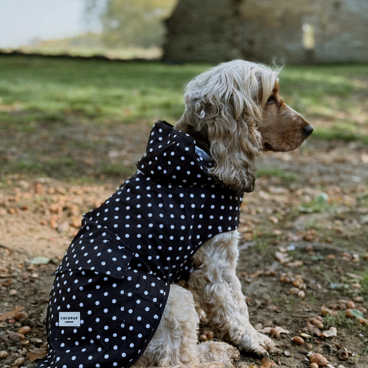 Dog Raincoat - Black Polka Dot