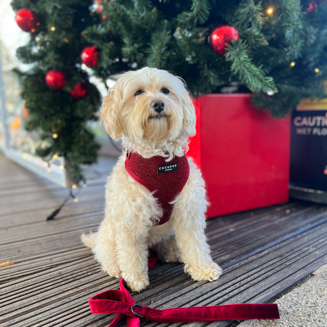 LUXE Velvet Adjustable Neck Harness - Berry Red