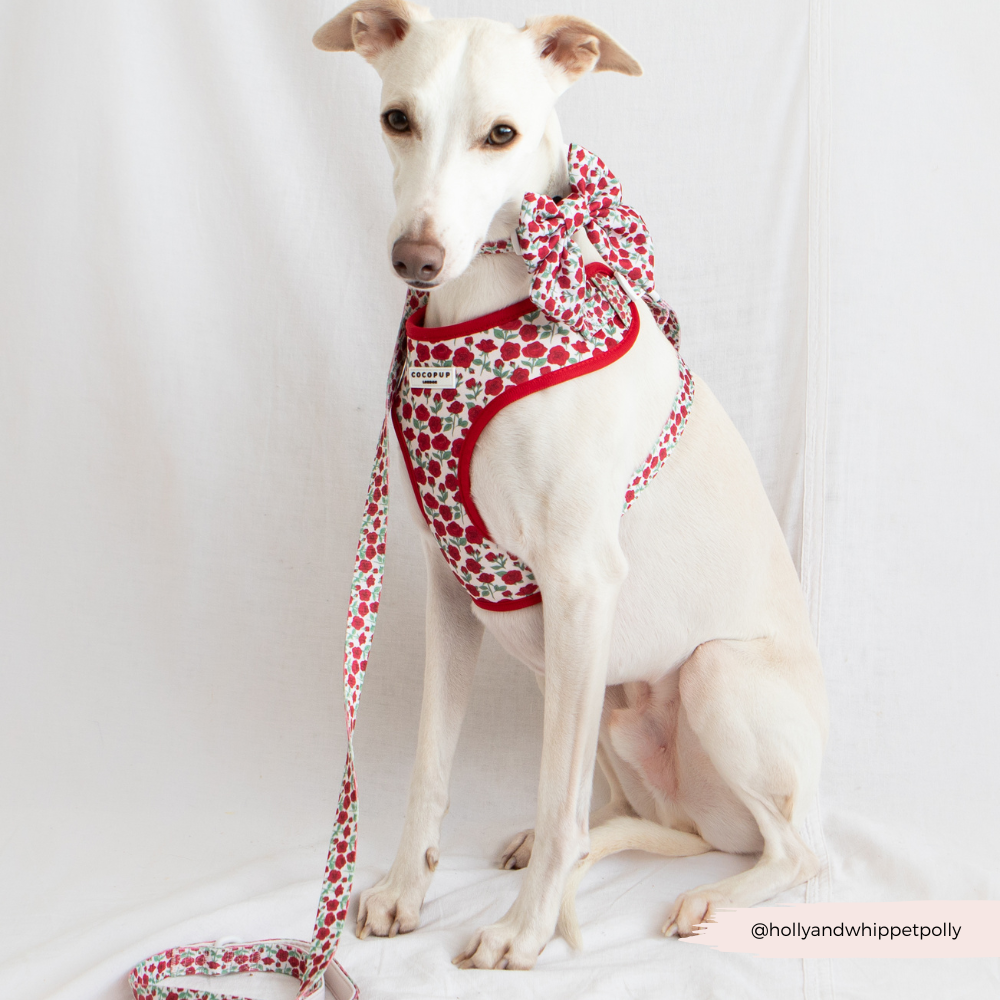 Barkquet of Roses Adjustable Neck Harness