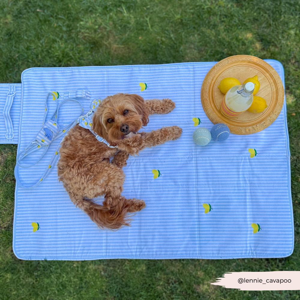 Travel Mat - Living La Vida Lemon