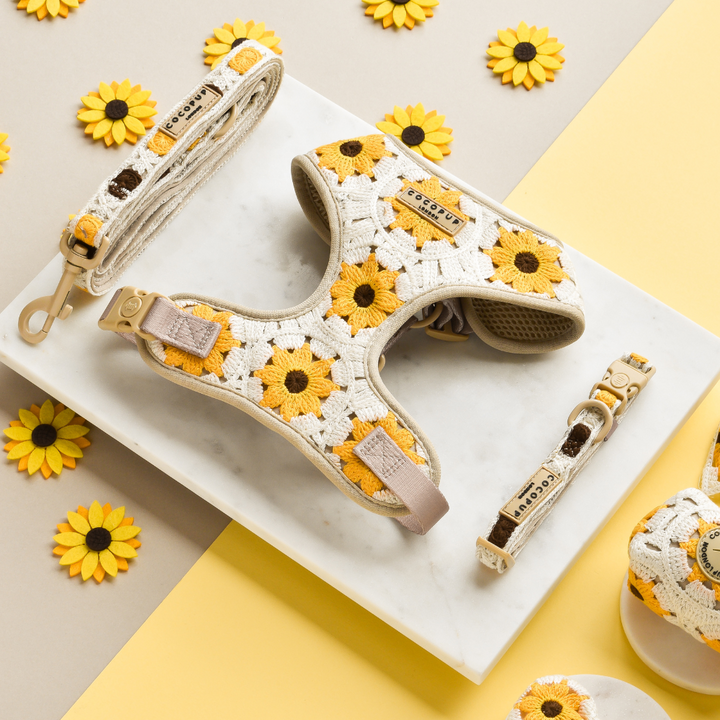 The Sunflower Patch Adjustable Neck Harness, Lead & Collar Bundle by Cocopup London is displayed on a marble surface. The harness and leash feature yellow and white crocheted sunflowers. Additional sunflower decorations are scattered around the surface, enhancing the cheerful floral theme for dog walks.