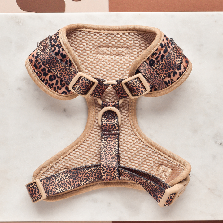 Quilted Leopard Pup Adjustable Neck Harness, Lead & Collar Bundle