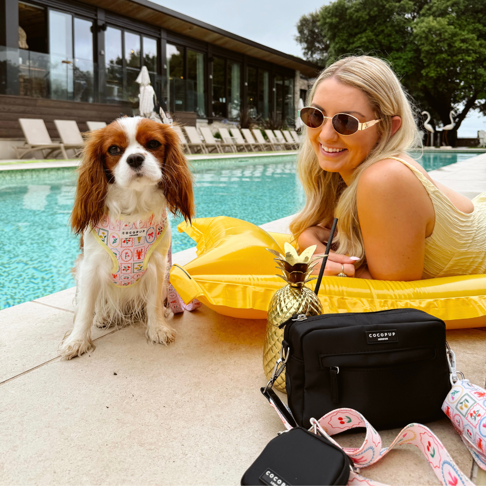 Dolce Vita Adjustable Neck HARNESS