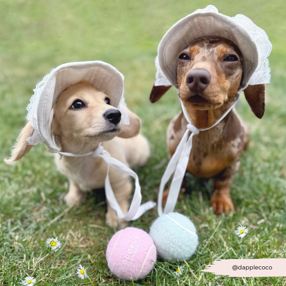 Dog Straw & Lace Sun Hat