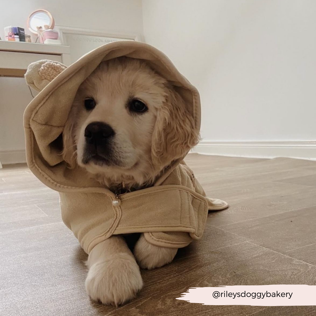 Teddy Drying Robe