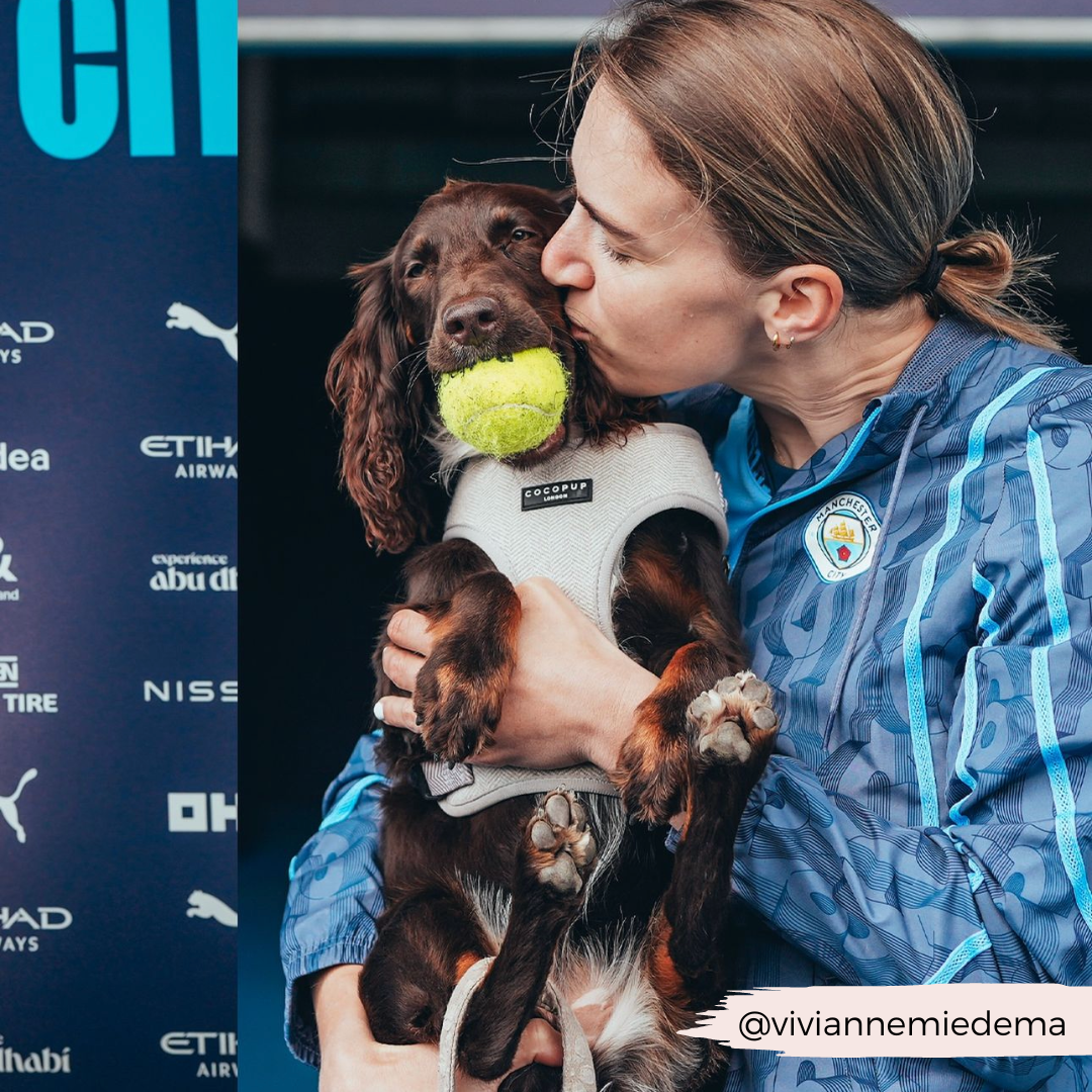 A person in a blue Manchester City jacket holds and kisses a brown dog that is wearing Cocopup London's Brown Tweed Adjustable Neck Harness, Lead & Collar Bundle and holding a yellow tennis ball in its mouth. The person smiles, and both appear in front of a dark background with various logos. The Instagram handle @vivianemiedema is displayed.