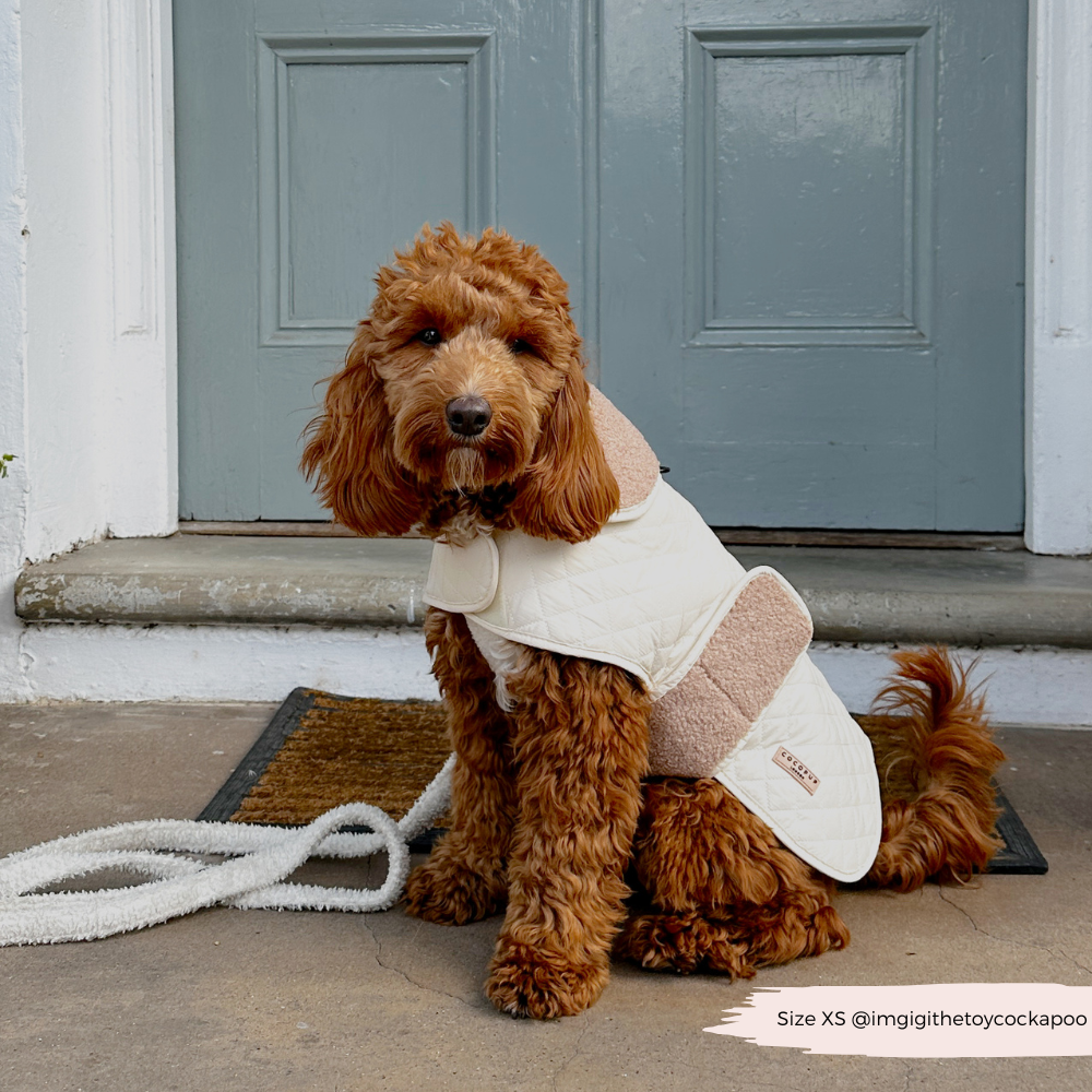 LUXE Quilted Dog Coat - Creamy Chai