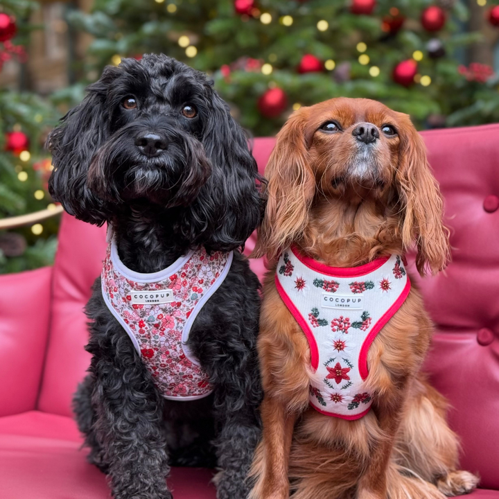 LUXE Embroidered Frosty Flower Harness