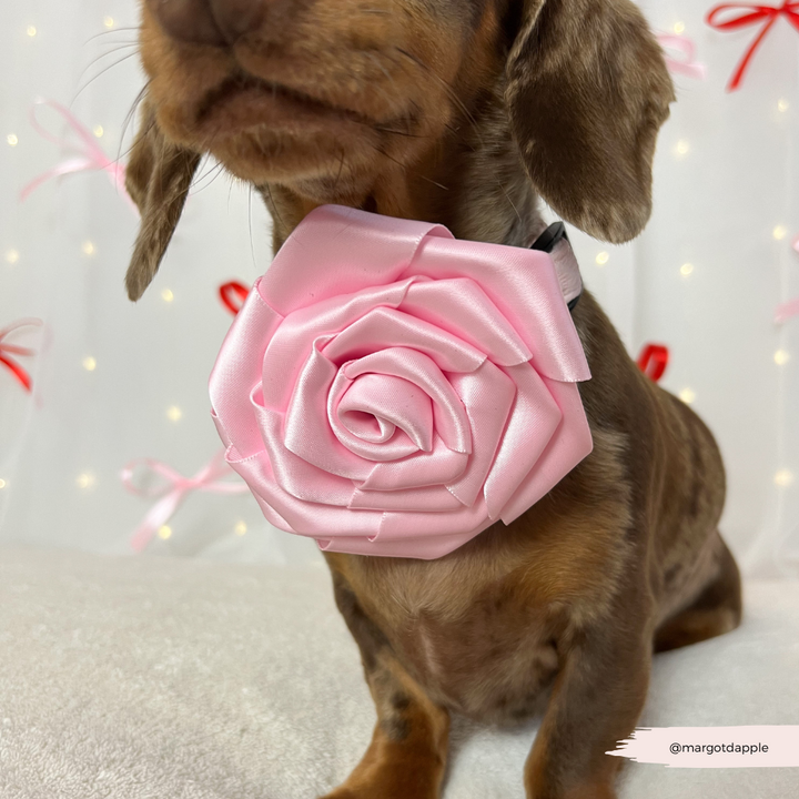 Pink Rose Collar Flower