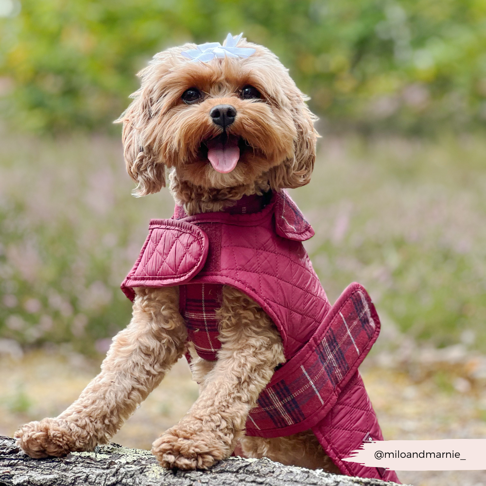 Quilted Dog Coat - Mulberry Plaid