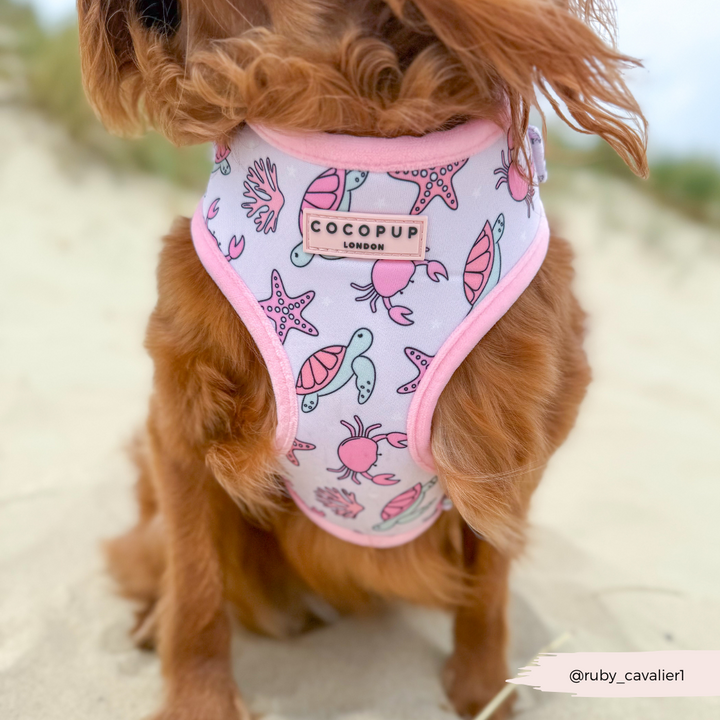Pawcific Pink Reef Adjustable Neck HARNESS