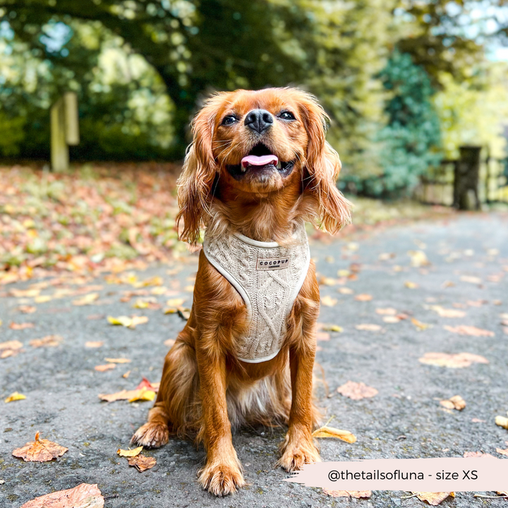 Cable Knit Jumper Adjustable Neck Harness - Toffee Pup Latte