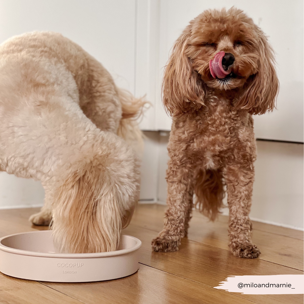 Silicone Slow Feed Dog Bowl - Baby Pink Flowers