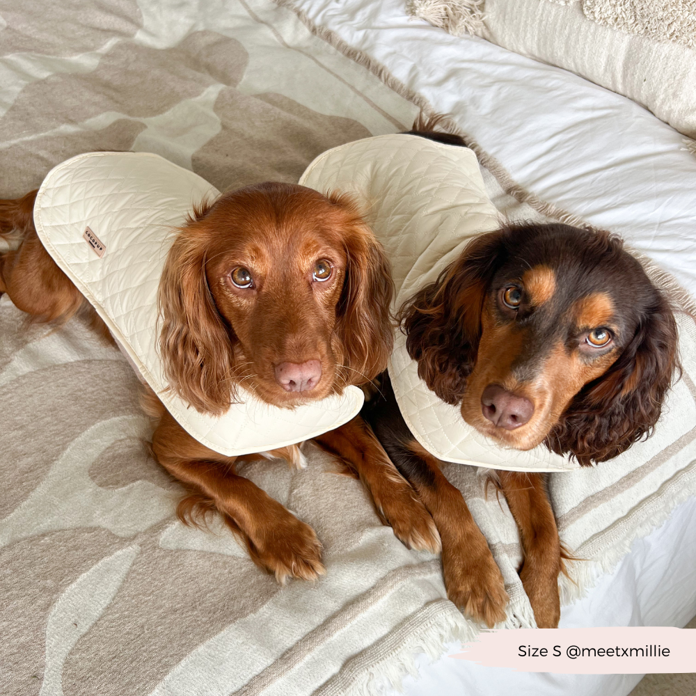 LUXE Quilted Dog Coat - Creamy Chai