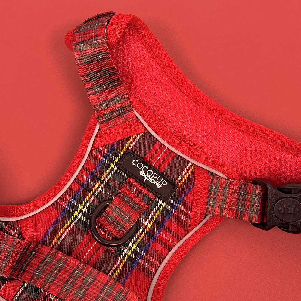Explore Harness - Tartan