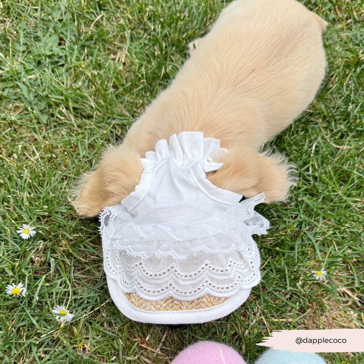 Dog Straw & Lace Sun Hat