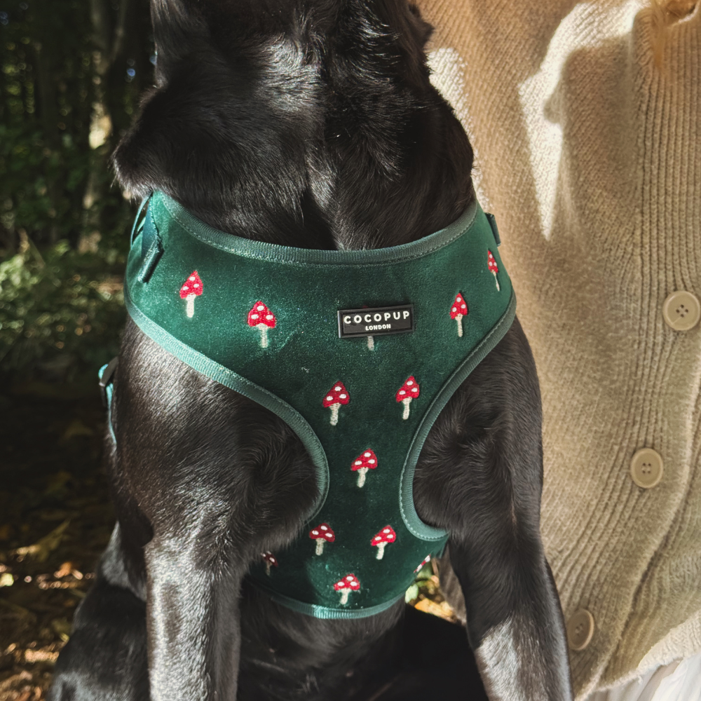 Toadstool Trails Adjustable Neck HARNESS