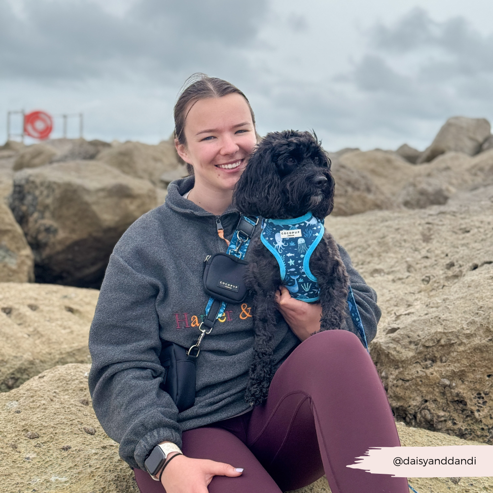 Sea Life Pawty Adjustable Neck Harness, Lead & Collar Bundle