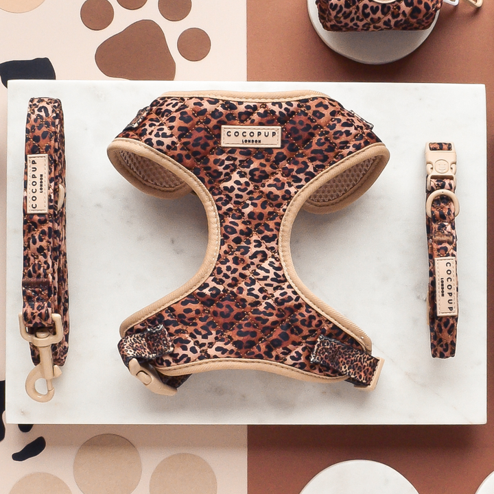 Quilted Leopard Pup Adjustable Neck Harness, Lead & Collar Bundle