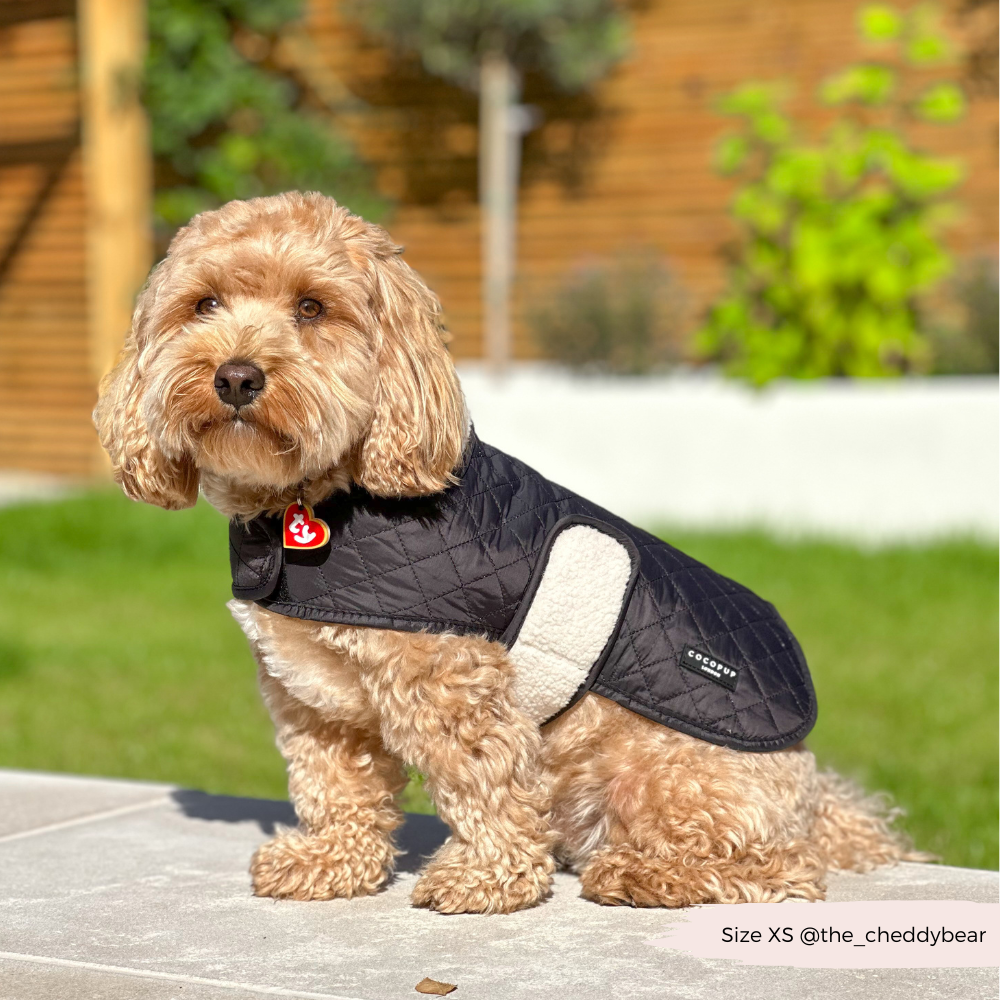 LUXE Quilted Dog Coat - Midnight Black