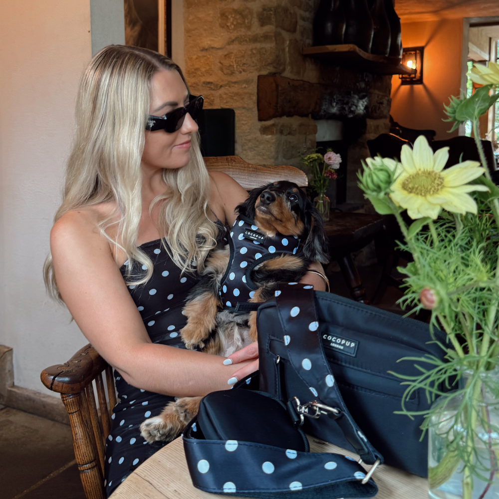 Bag Strap - Satin Polka Dot