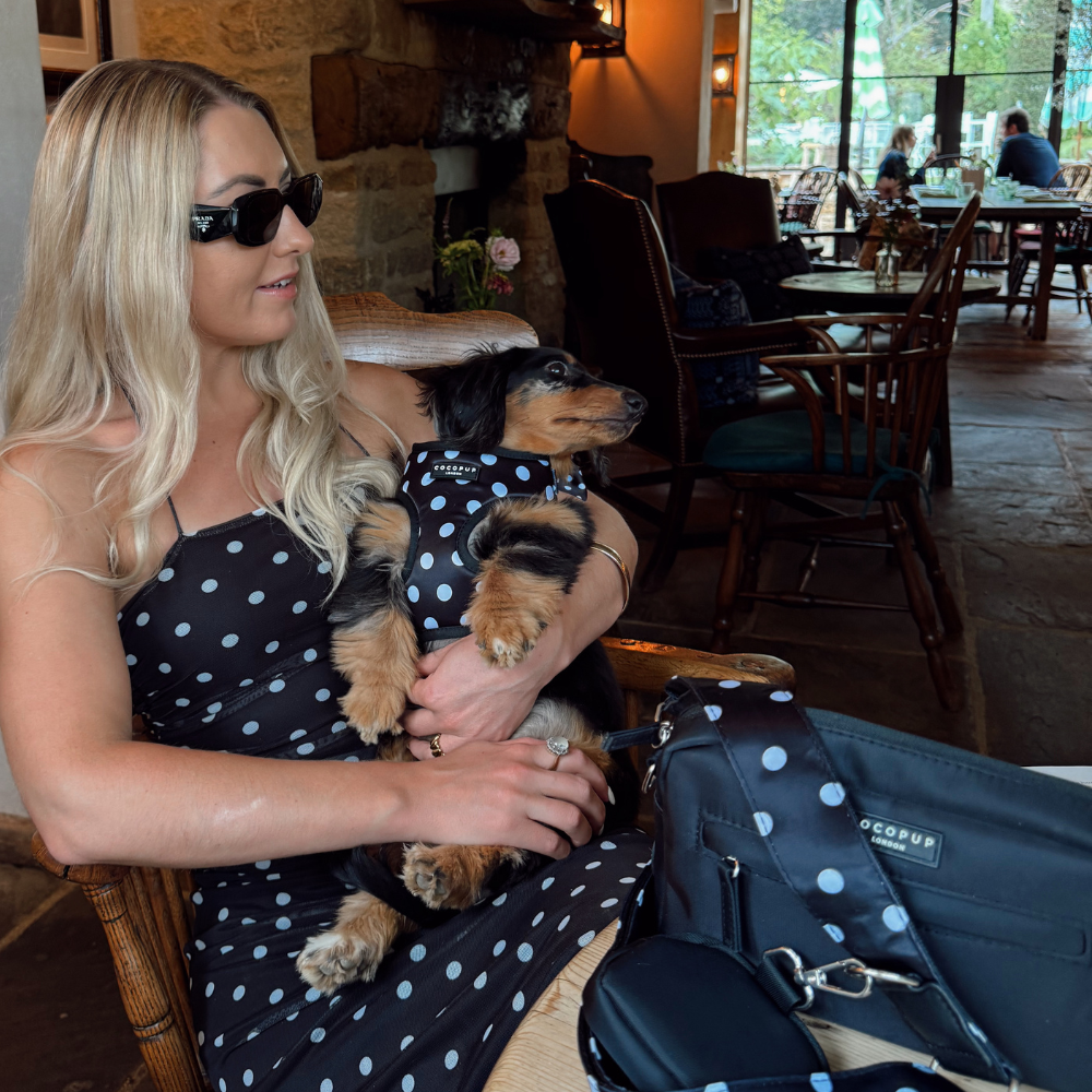 Dog Walking Black Bag Bundle - Satin Polka Dot