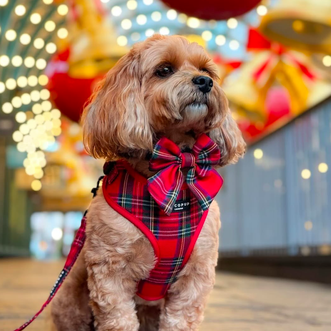 Tartan Sailor Bow Tie