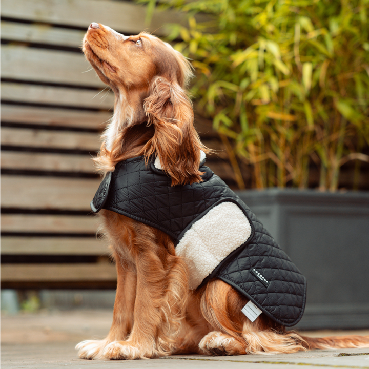 LUXE Quilted Dog Coat - Midnight Black