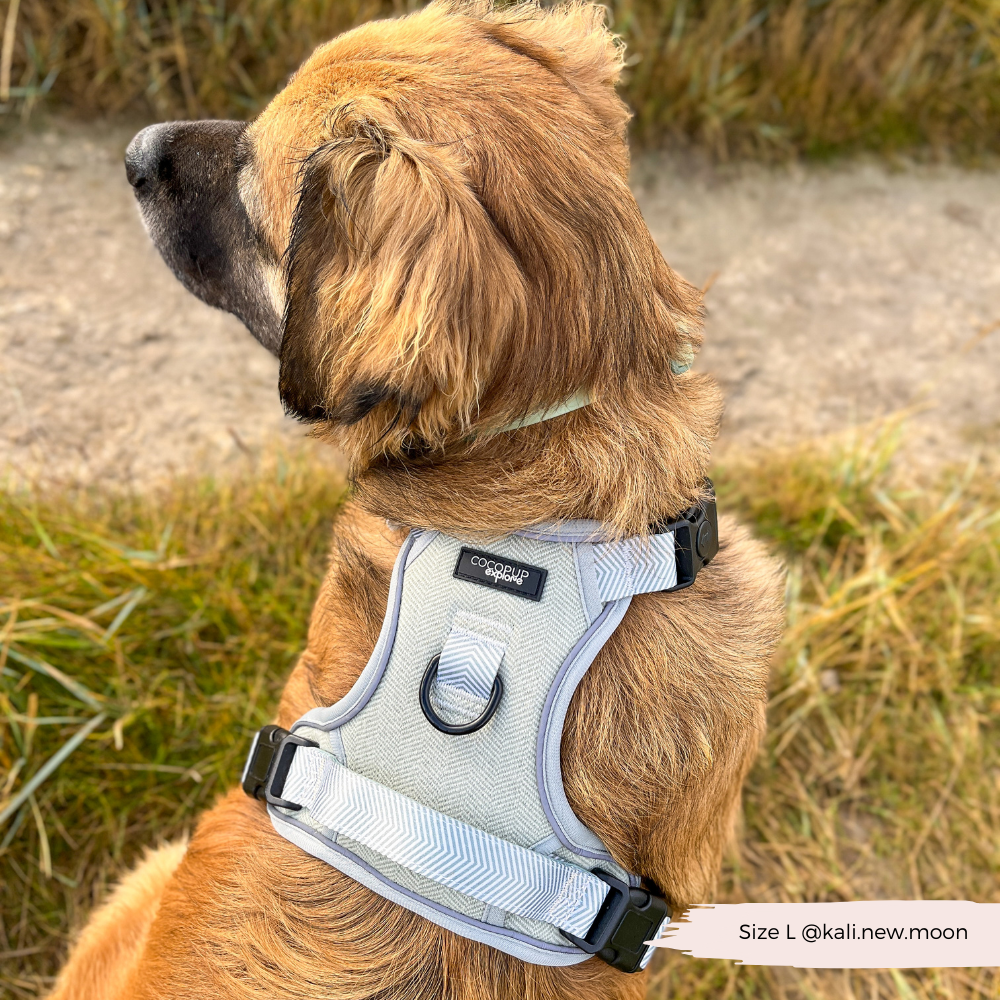 Explore Harness - Sage Tweed