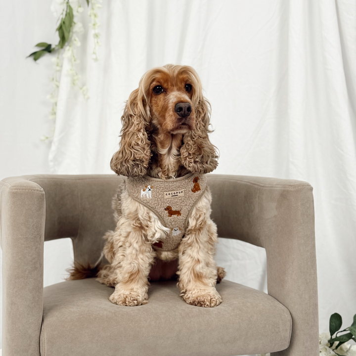 Ralph & Friends Mocha Teddy Adjustable Neck HARNESS