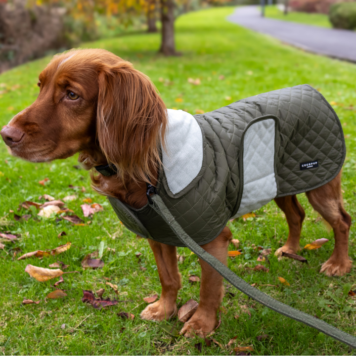 LUXE Quilted Dog Coat - Country Khaki