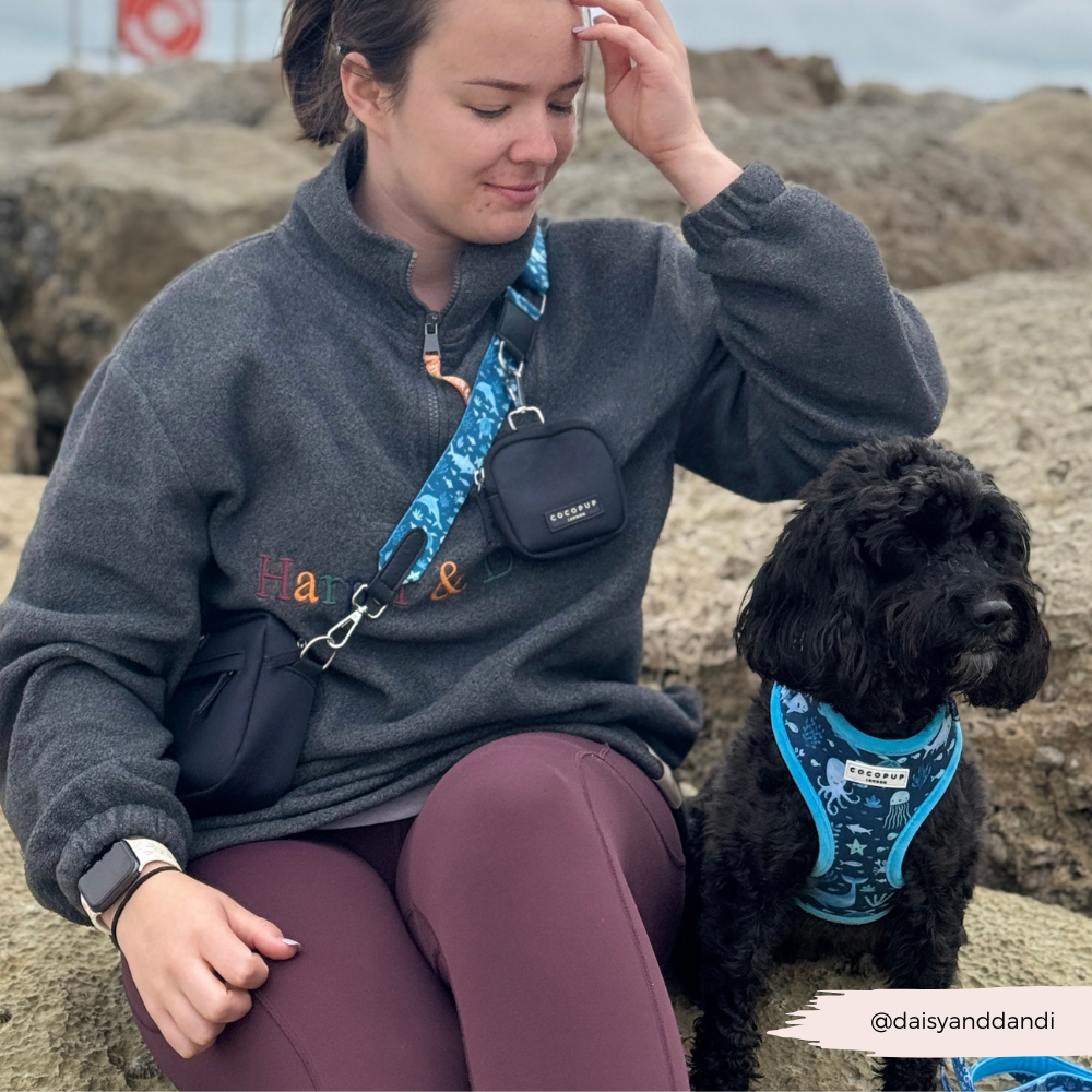 Sea Life Pawty Adjustable Neck HARNESS