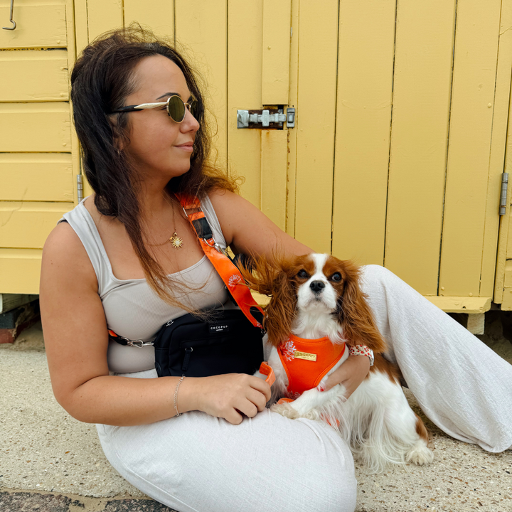 Luxe Velvet Bag Strap - Coral Core