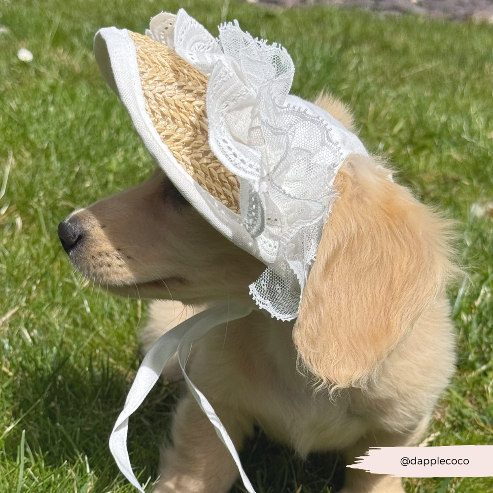 Dog Straw & Lace Sun Hat