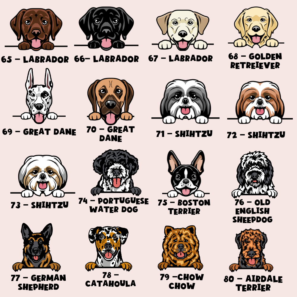 Personalised Dog Cartoon ID Tag - Dinopaws