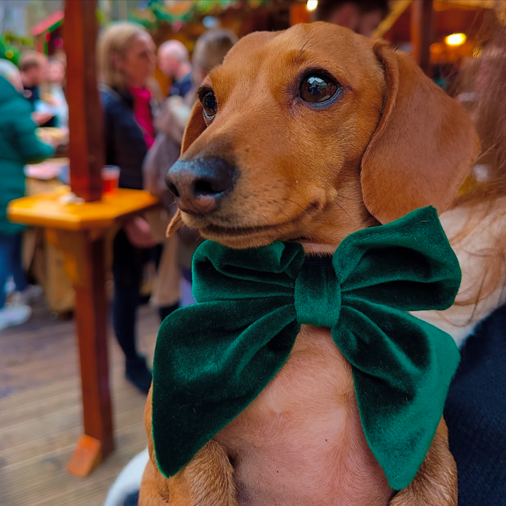 Luxe Velvet Sailor Bow Tie - Forest Green