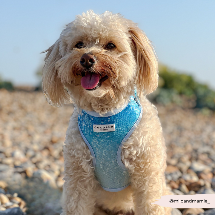 Seaside Shimmer Adjustable Neck HARNESS