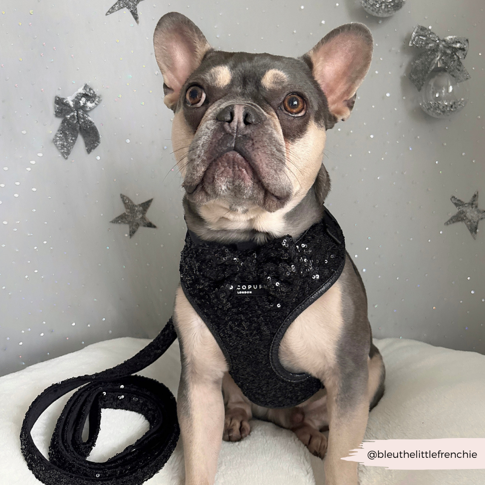 Limited Edition Sparkle Season Black Adjustable Neck HARNESS