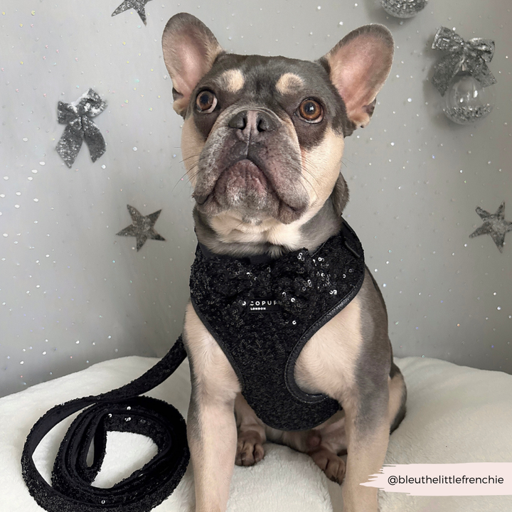 Limited Edition Sparkle Season Black Adjustable Neck HARNESS