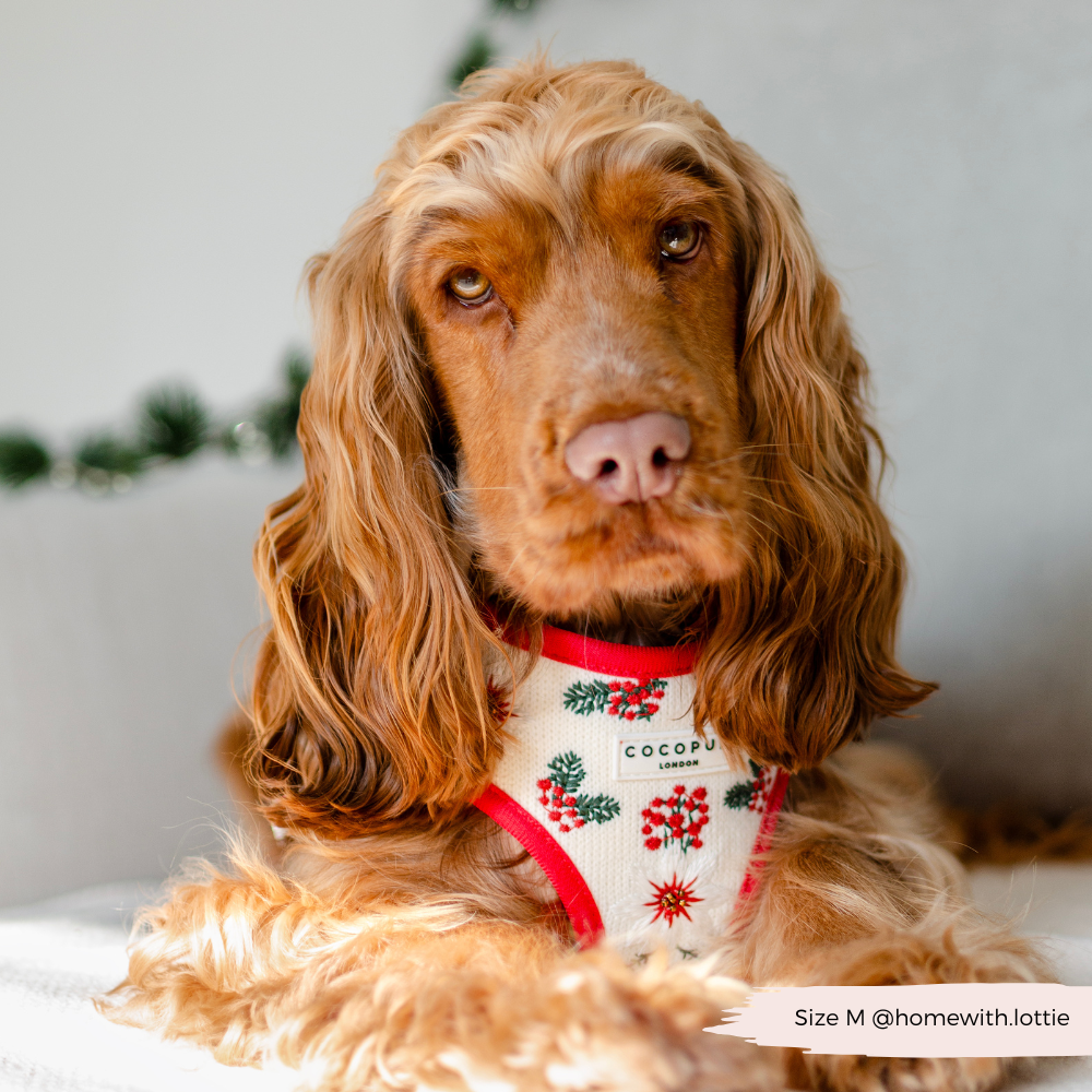 LUXE Embroidered Frosty Flower Harness